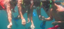 Snorkeling Private Tour