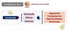 Estudio, Demanda, Oferta, Entorno, Oportunidades, Amenaza, Competencia, Segmento