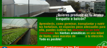 agricultura urbana en df,agricultura organica,agricultura ecologica