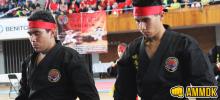 Taekwondo Cinta Negra