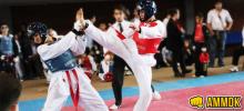 Copa de Taekwondo