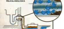 productos limpieza biodegradables biologicos