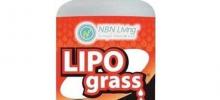 lipo grass, bajar de peso, quemar grasa, inhibidor de apetito