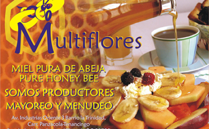 Miel Multiflores 