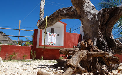 ven, vive y siente holbox