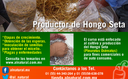 curso hongo seta DF,venta de micelio df