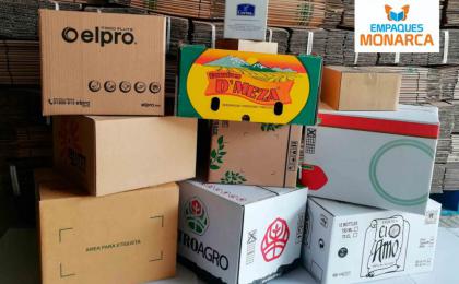 cajas de carton impresas