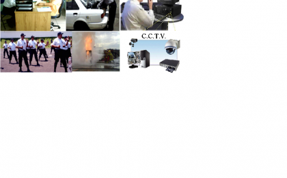 seguridad privada con guardias vigilantes cctv y camaras