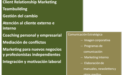 consultoría para empresas en Querétaro