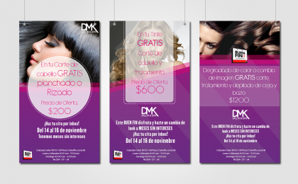 banner, flyer, volantes, diseño, belleza, salon de belleza, san luis potosi