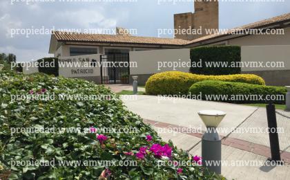 Jardineros y Jardineria en León, Guanajuato.