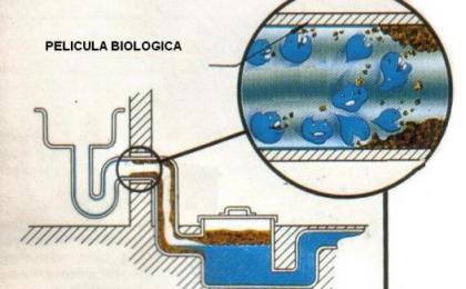 productos limpieza biodegradables biologicos