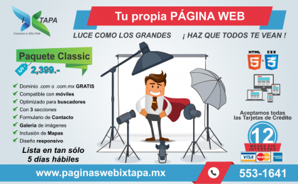 Páginas Web en Ixtapa, Zihuatanejo, Pantla, Petatlán, Tecpan, Atoyac, Troncones