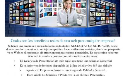 paginasweb