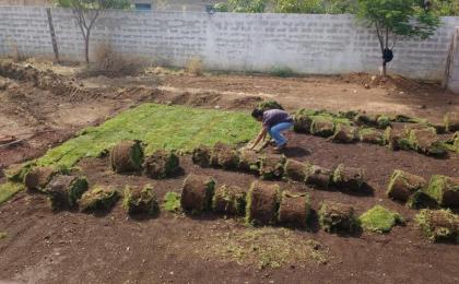 Viveros Pasto en rollo campo de futbol en Morelos