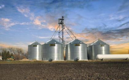 silos de maíz, almacenamiento de granos, ensilaje de maíz