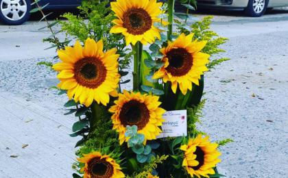 arreglo de girasoles, girasoles, detalle de girasoles, caja de girasoles