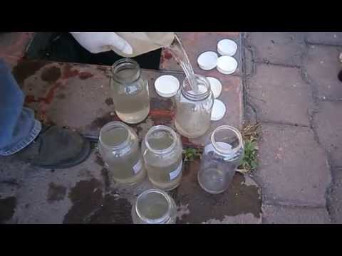 Vï¿½deos de 