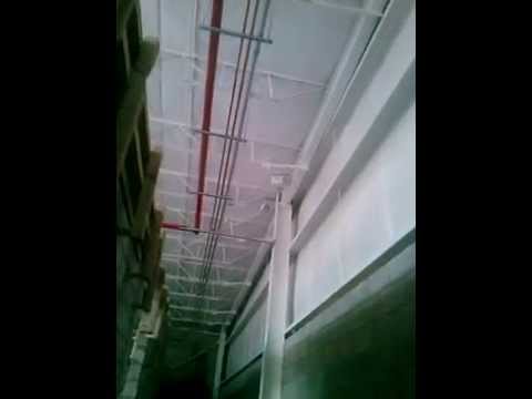 Vï¿½deos de 