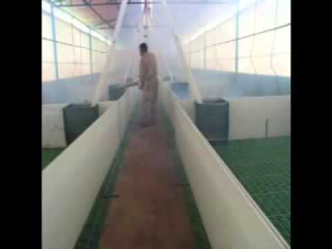 Vï¿½deos de 