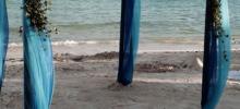 gazebo para la playa con lilis blancas y azul