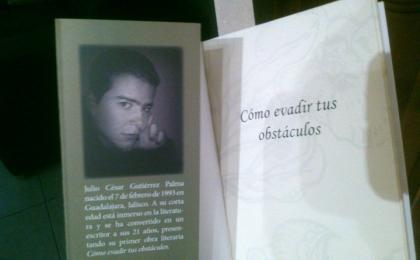 novelista, Escritor
