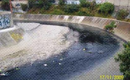 Daño ambiental