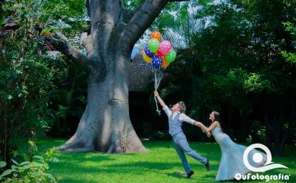 Trash the Dress
